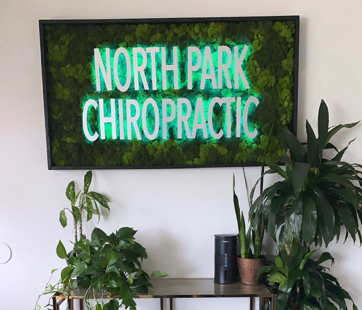 Green North Park Chiropractic illuminated lettering on a moss wall